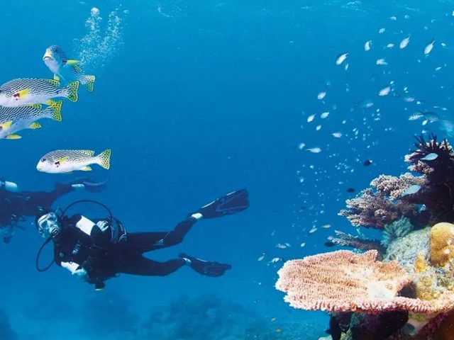 A Day in Paradise: My Ultimate Guide to Cairns Great Barrier Reef Adventure