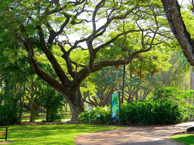 Darwin’s Natural Exploration: A Complete Guide to George Brown Botanic Gardens